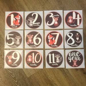 Baby milestone stickers